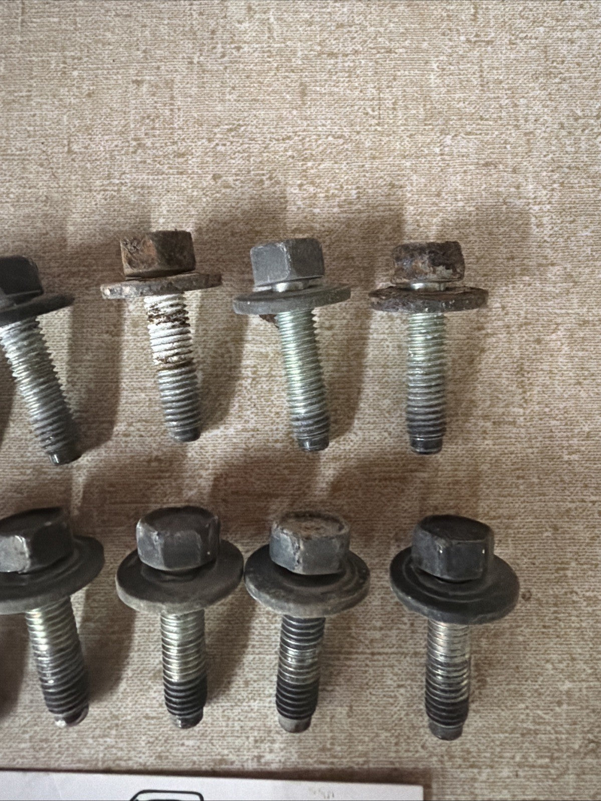 1980-1997 Ford F250 F350 Door Hinge Mounting Bolts. OEM. Qty 10