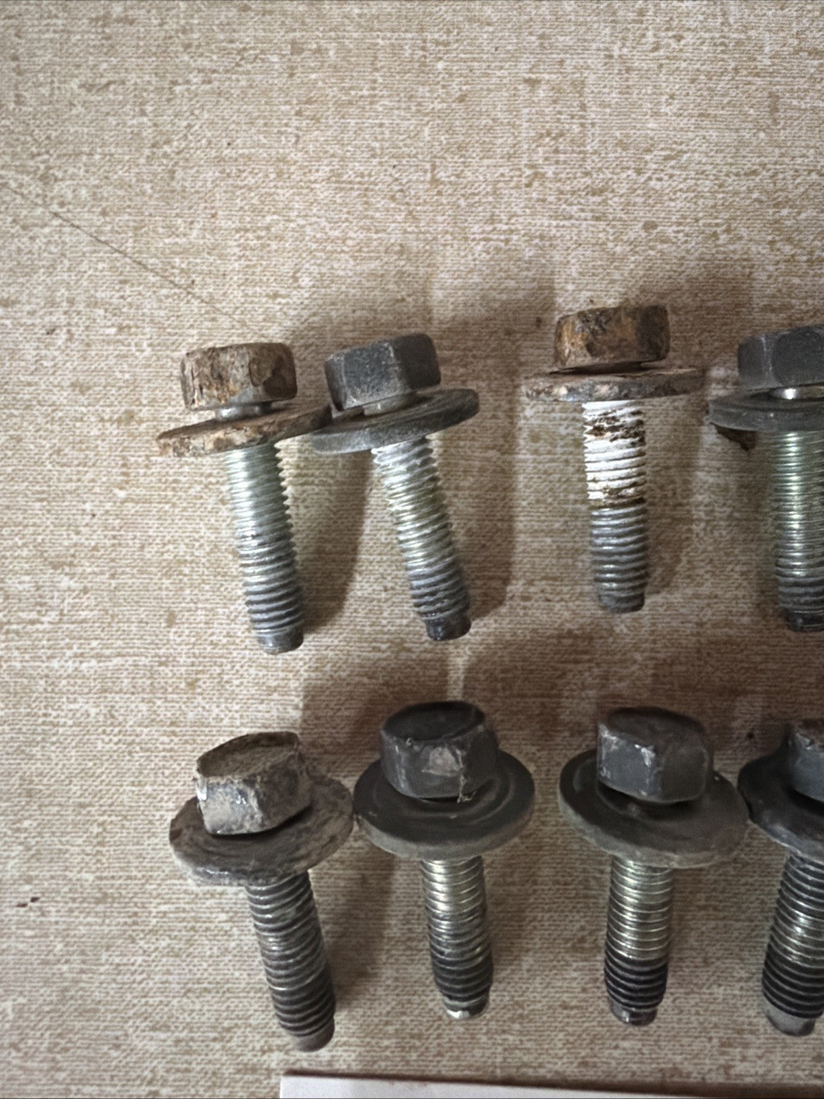 1980-1997 Ford F250 F350 Door Hinge Mounting Bolts. OEM. Qty 10
