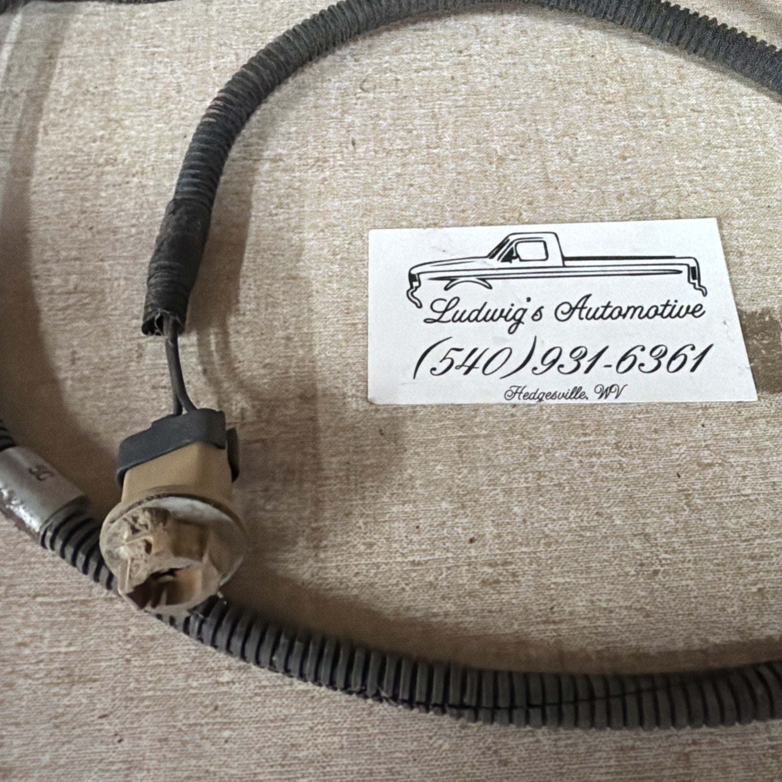 92-96 Ford F150 F250 F350 Pickup Only - Rear LICENSE PLATE Light WIRING HARNESS