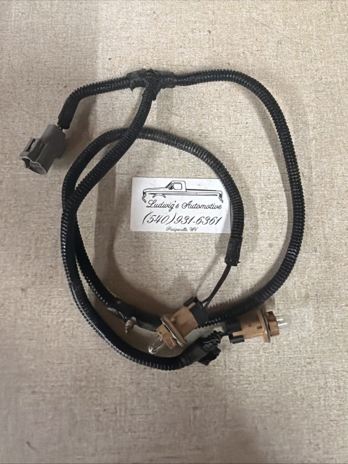 92-96 Ford F150 F250 F350 Pickup Only - Rear LICENSE PLATE Light WIRING HARNESS 