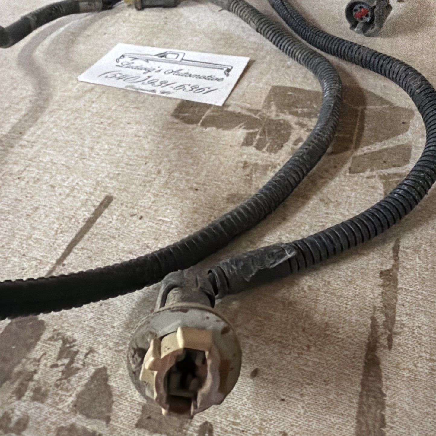 92-96 Ford F150 F250 F350 Pickup Only - Rear LICENSE PLATE Light WIRING HARNESS