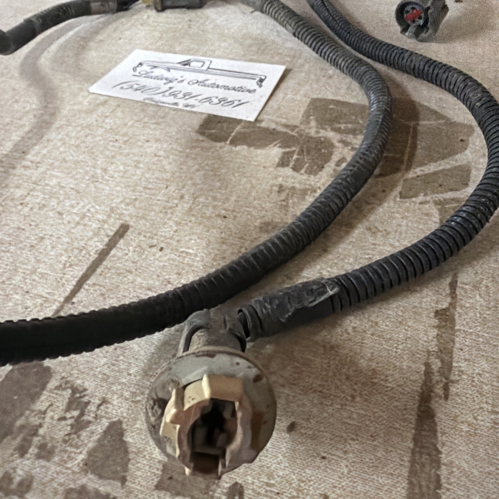 92-96 Ford F150 F250 F350 Pickup Only - Rear LICENSE PLATE Light WIRING HARNESS