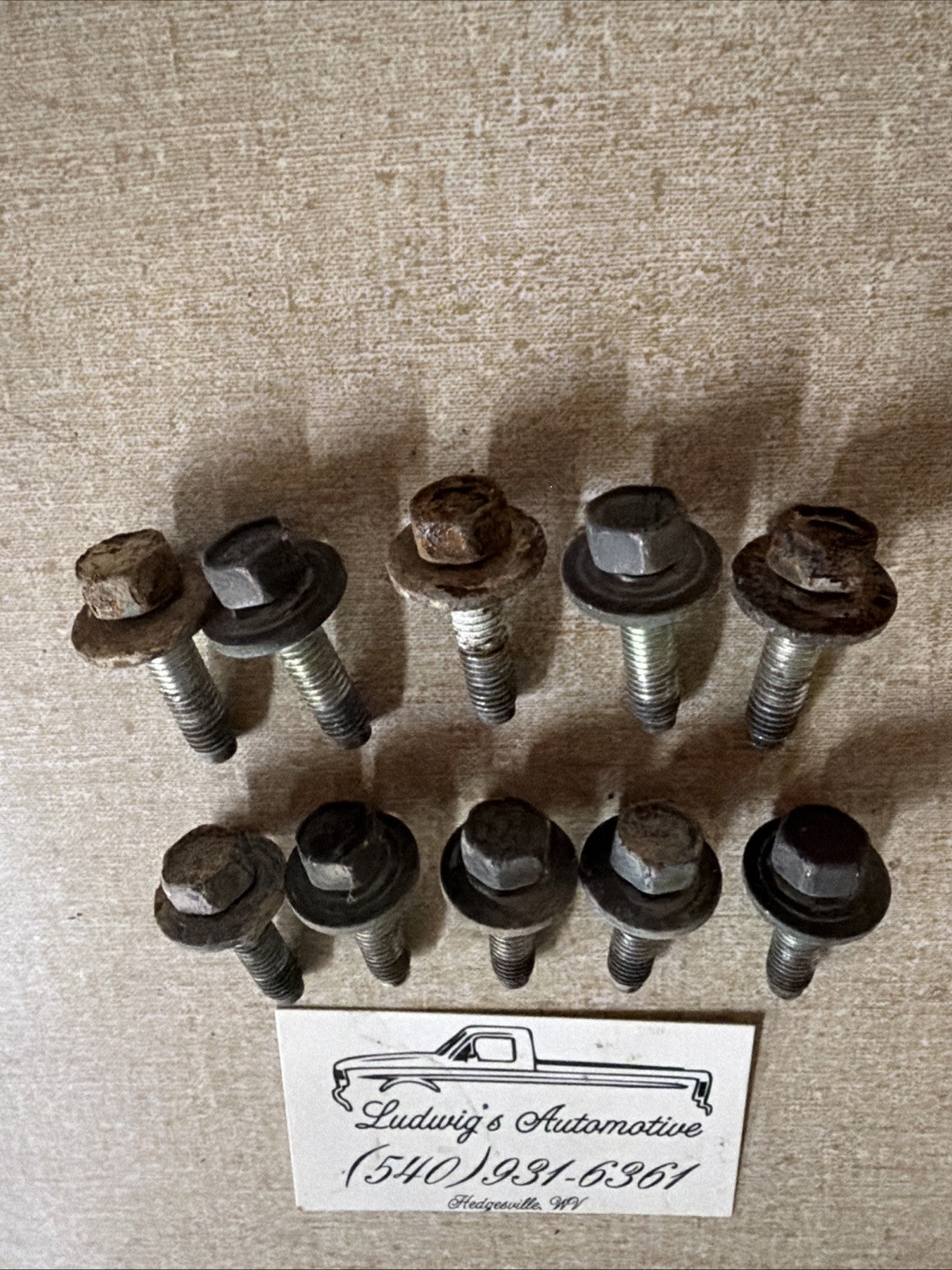 1980-1997 Ford F250 F350 Door Hinge Mounting Bolts. OEM. Qty 10
