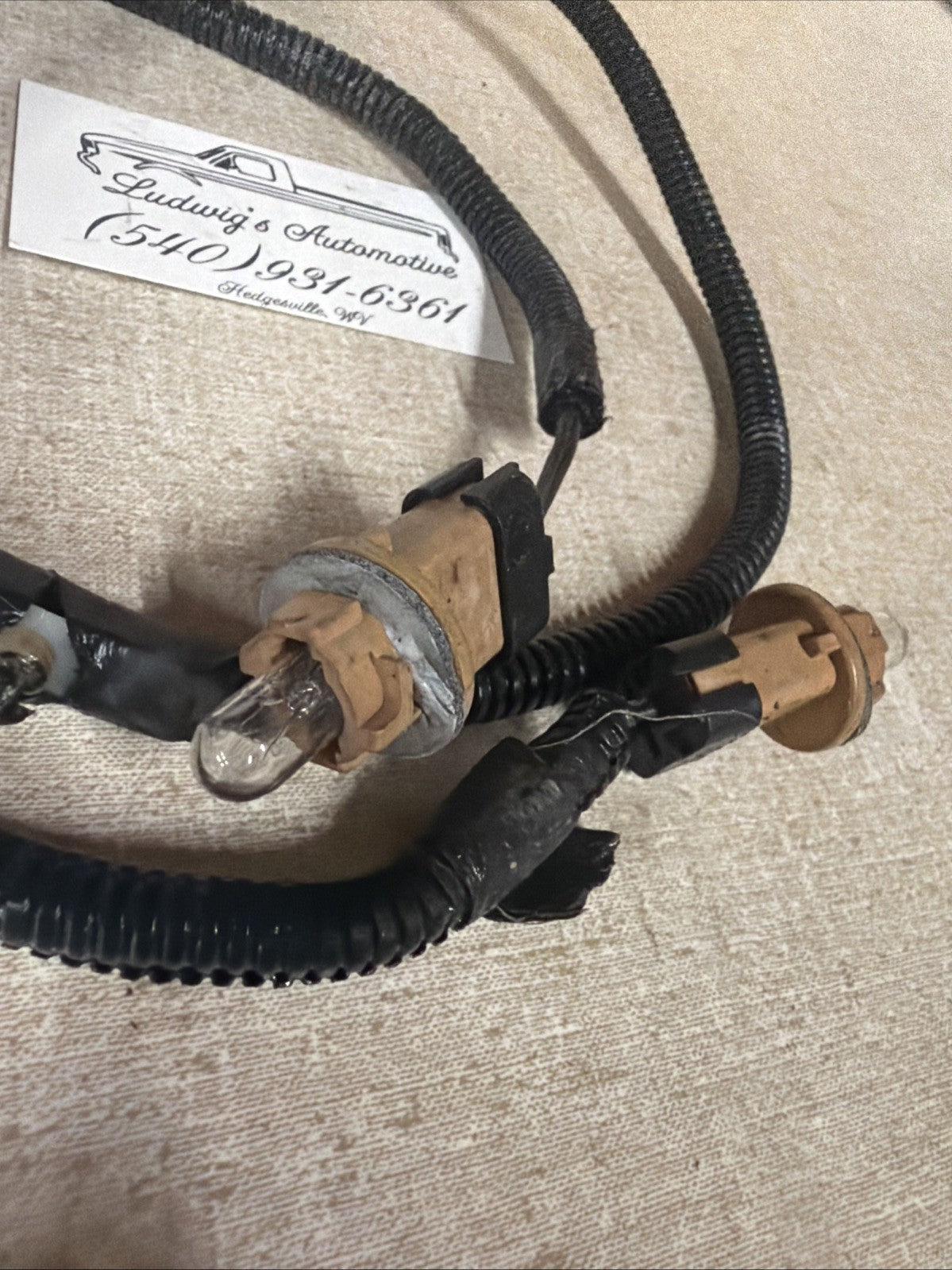 92-96 Ford F150 F250 F350 Pickup Only - Rear LICENSE PLATE Light WIRING HARNESS 